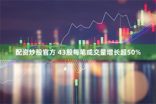 配资炒股官方 43股每笔成交量增长超50%