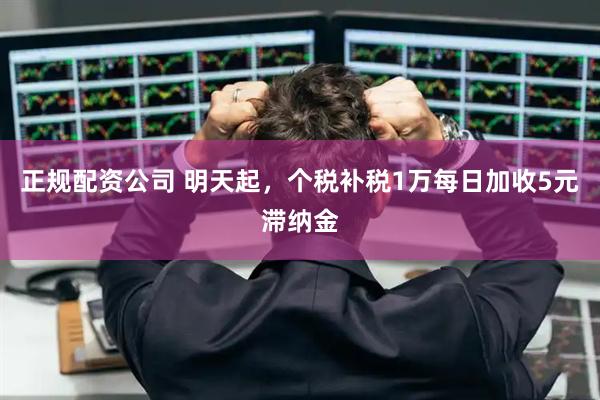正规配资公司 明天起，个税补税1万每日加收5元滞纳金